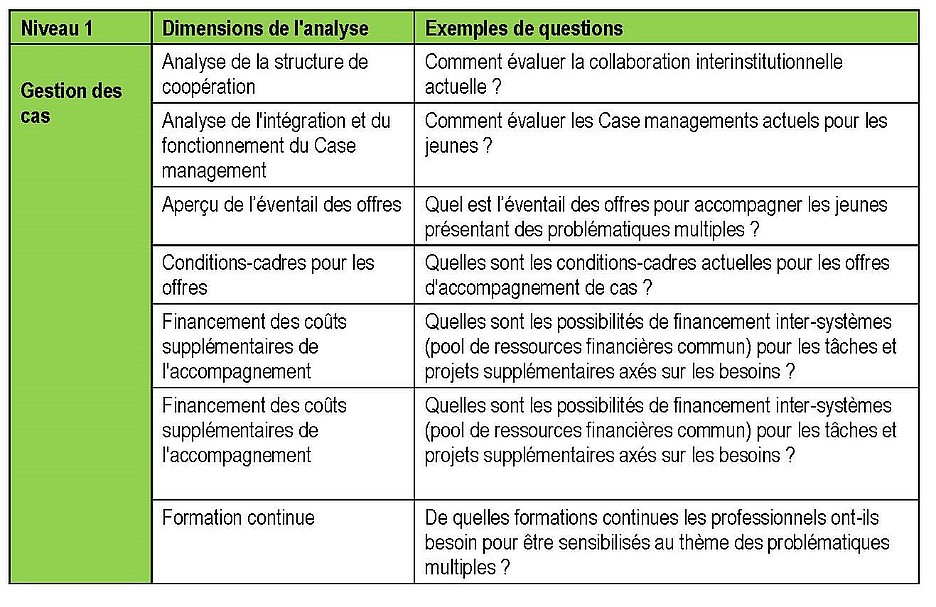 Tableau 2 : Dimensions du développement E1 et questions types (cf. guide, p. 11)